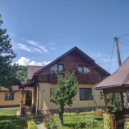 Pensiunea Ghita Vasile Vadu Izei Luaran gambar