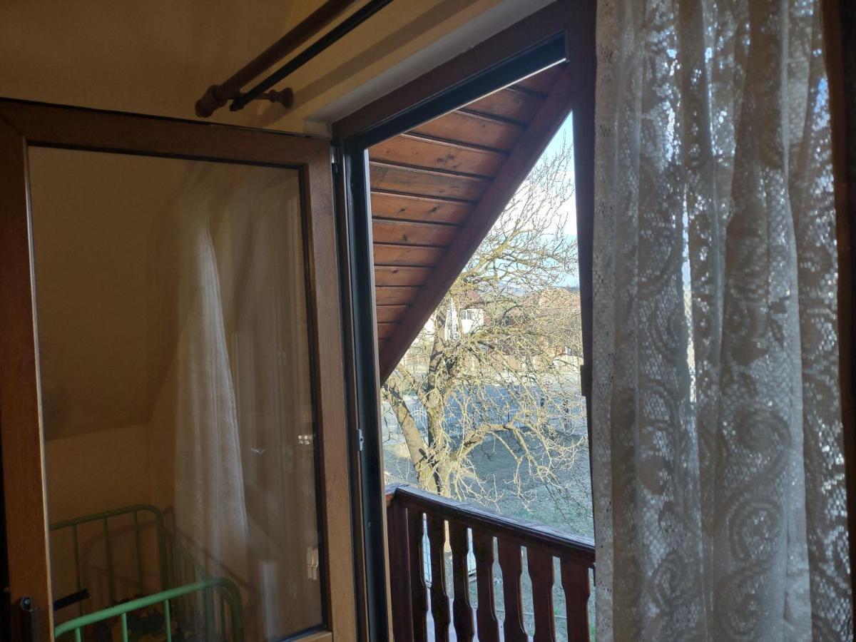 Pensiunea Ghita Vasile Vadu Izei Luaran gambar
