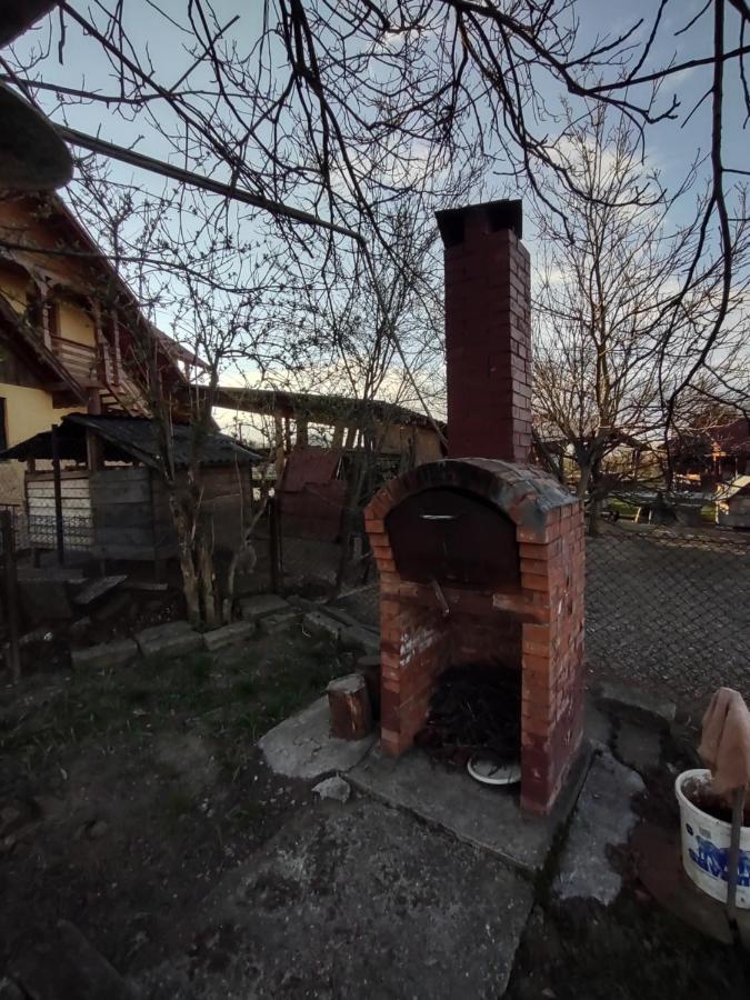 Pensiunea Ghita Vasile Vadu Izei Luaran gambar