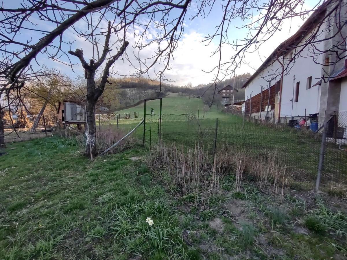 Pensiunea Ghita Vasile Vadu Izei Luaran gambar
