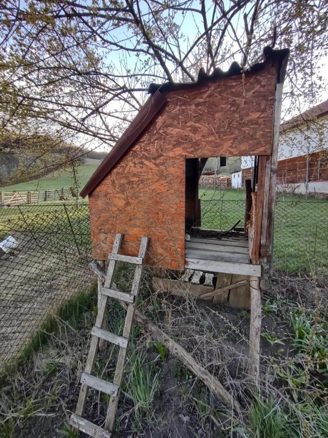 Pensiunea Ghita Vasile Vadu Izei Luaran gambar