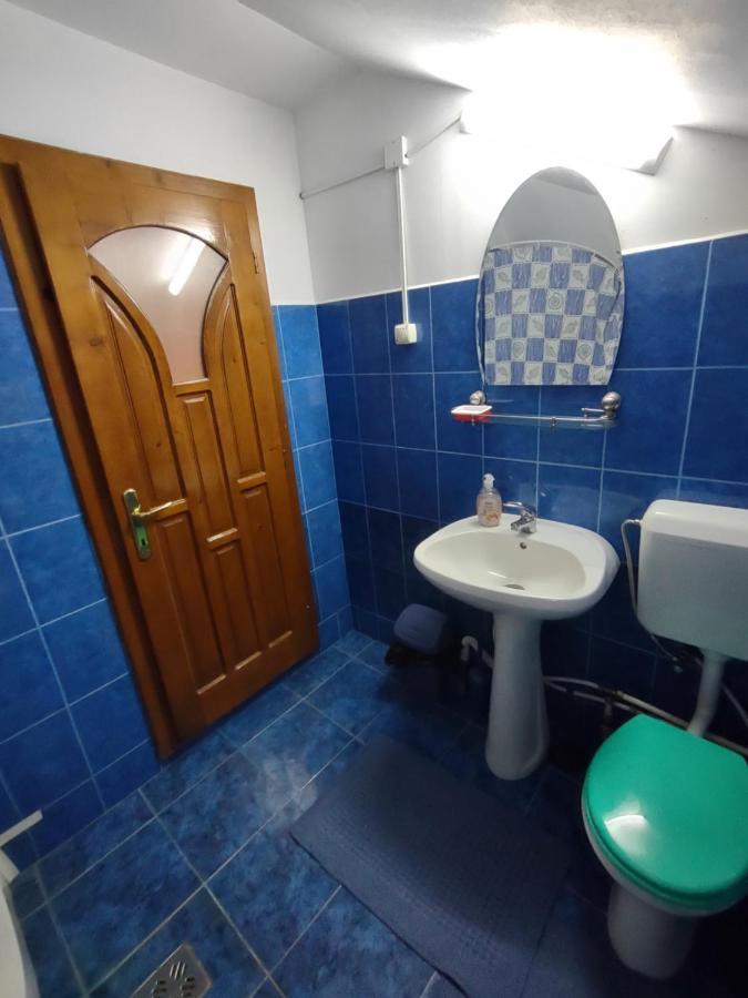 Pensiunea Ghita Vasile Vadu Izei Luaran gambar