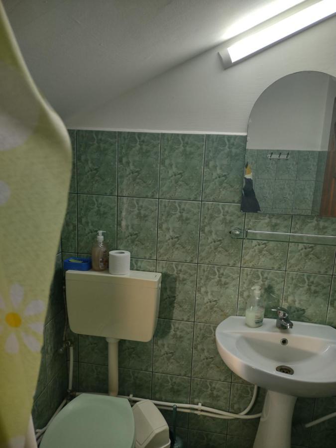 Pensiunea Ghita Vasile Vadu Izei Luaran gambar