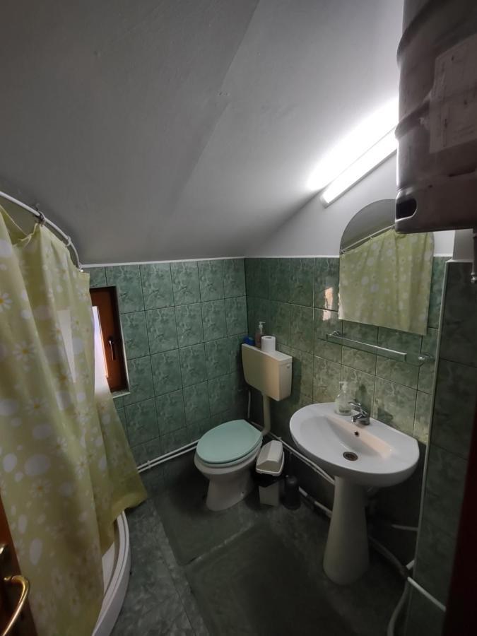 Pensiunea Ghita Vasile Vadu Izei Luaran gambar