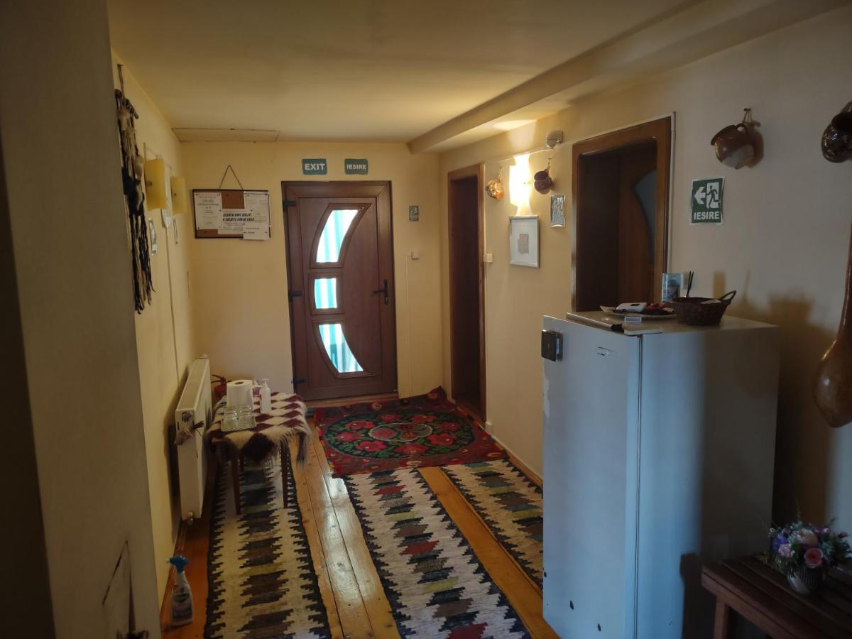 Pensiunea Ghita Vasile Vadu Izei Luaran gambar