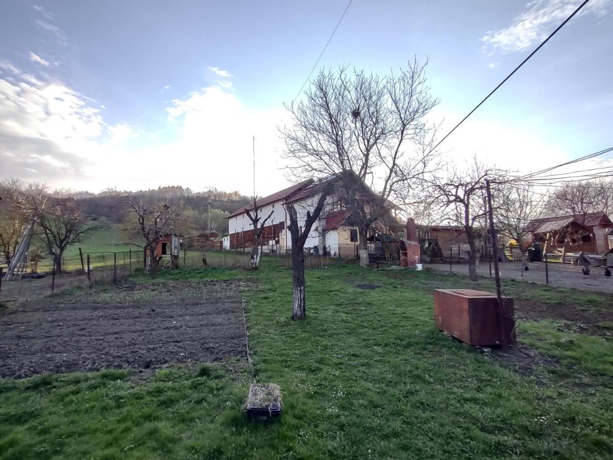 Pensiunea Ghita Vasile Vadu Izei Luaran gambar