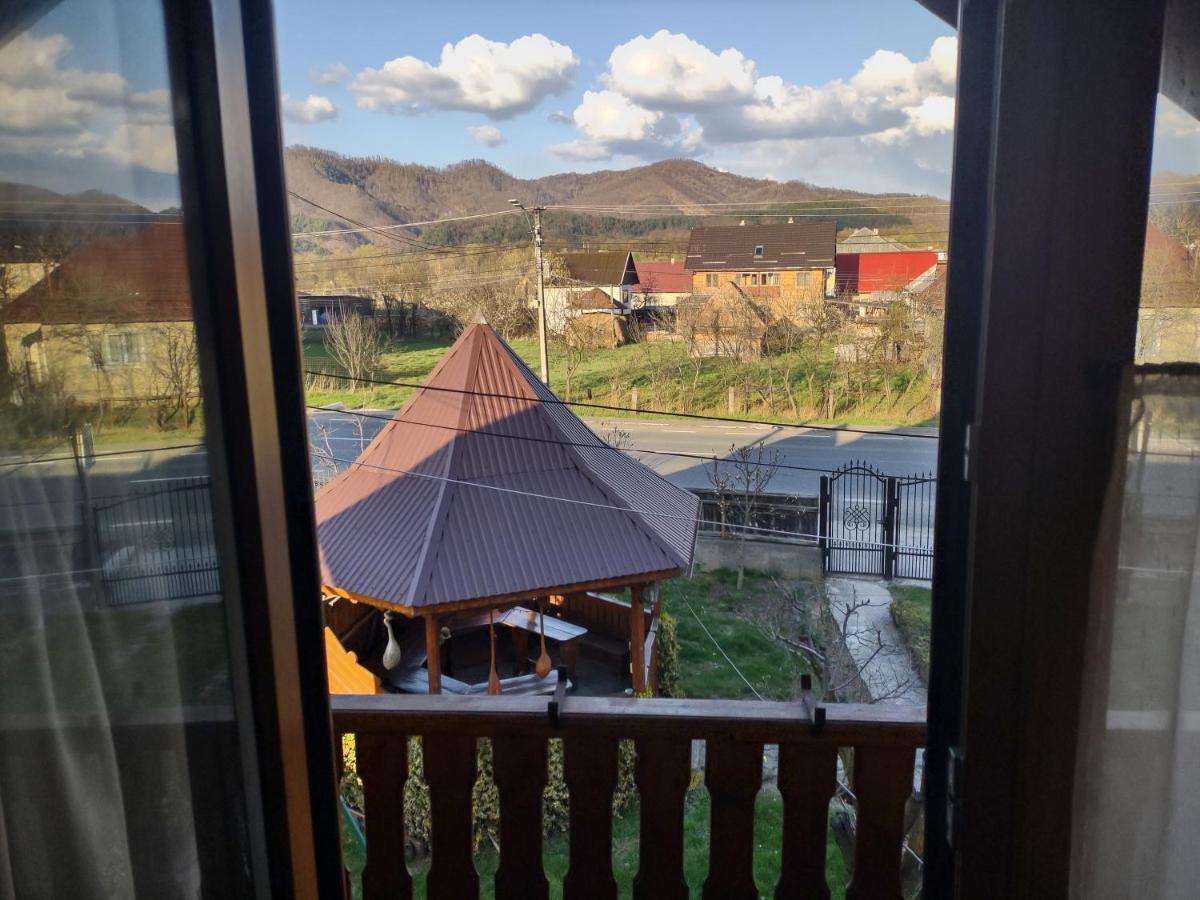 Pensiunea Ghita Vasile Vadu Izei Luaran gambar