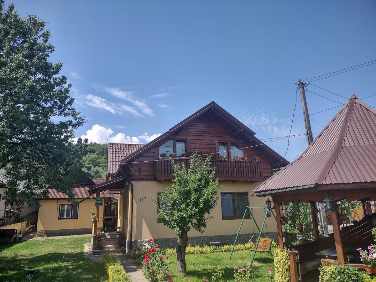 Pensiunea Ghita Vasile Vadu Izei Luaran gambar