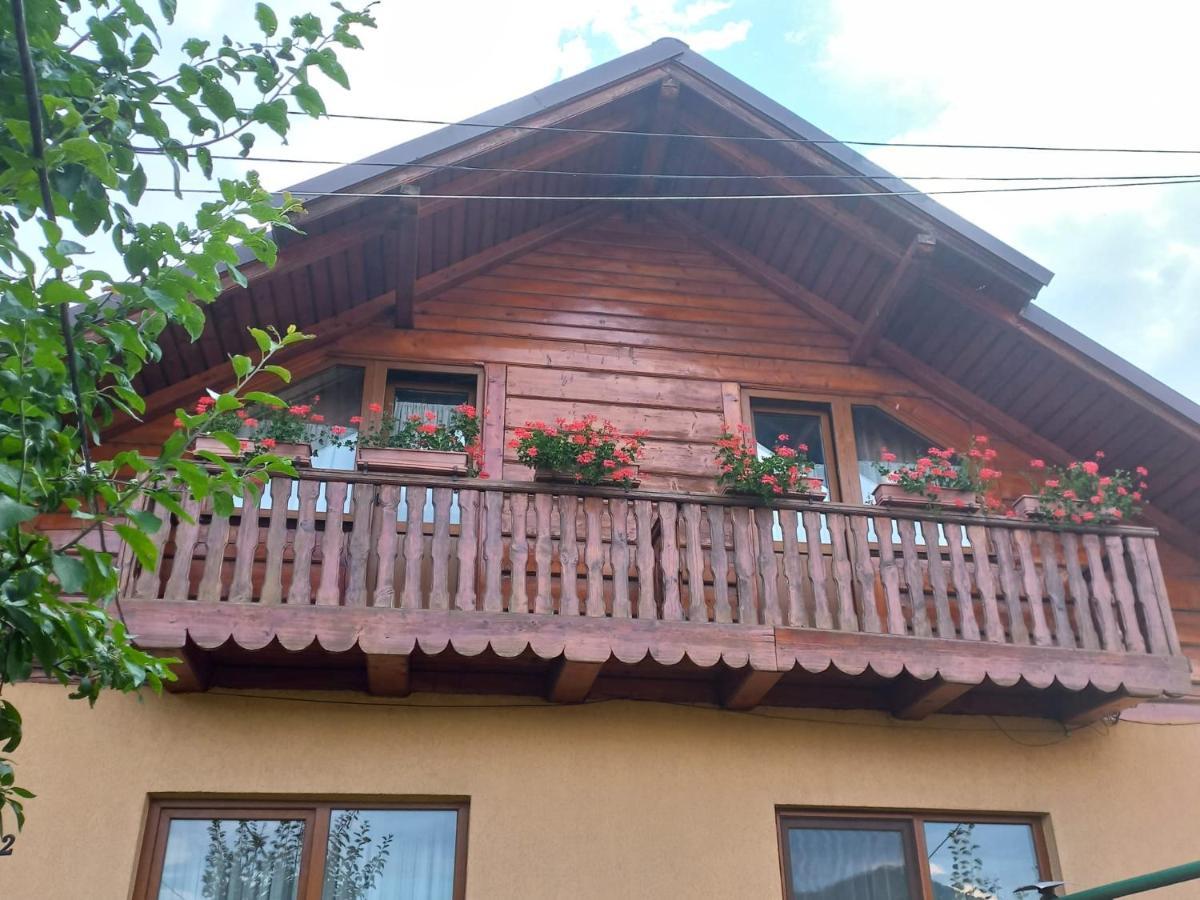 Pensiunea Ghita Vasile Vadu Izei Luaran gambar