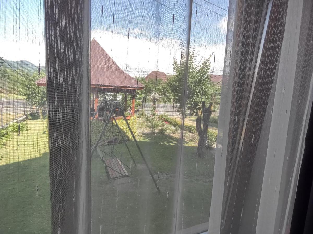 Pensiunea Ghita Vasile Vadu Izei Luaran gambar