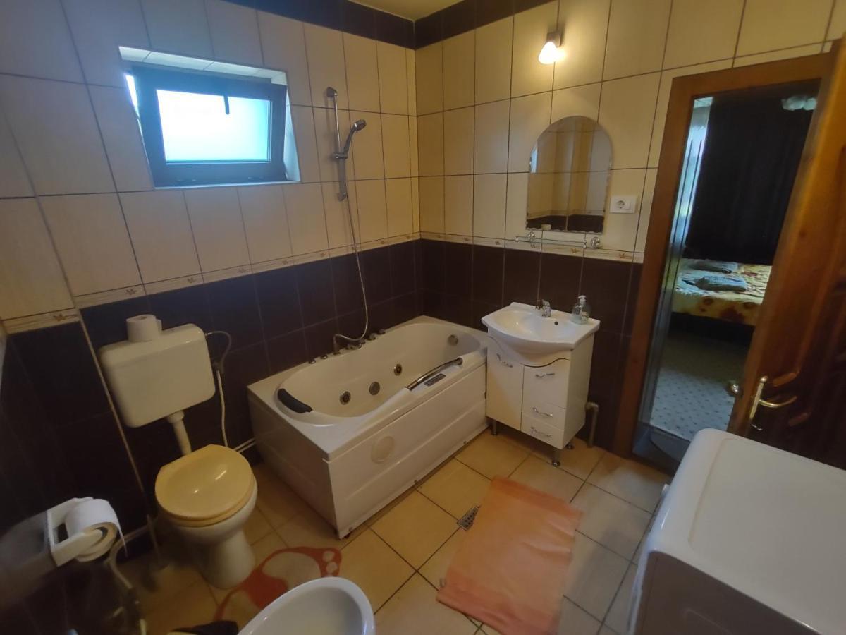 Pensiunea Ghita Vasile Vadu Izei Luaran gambar