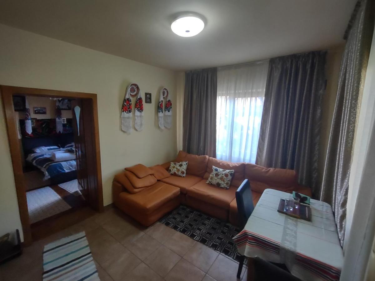 Pensiunea Ghita Vasile Vadu Izei Luaran gambar